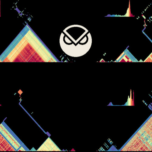 Gnosis Chain Validator Survey Participants